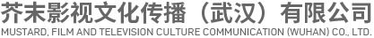 湖北廣告宣傳片制作